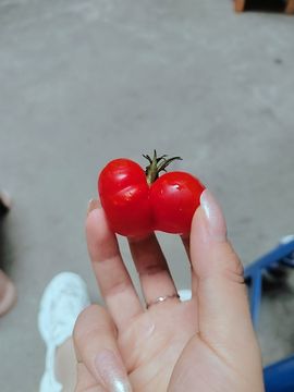 唔～飞机主播照片
