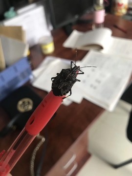 读书去了，有亿点忙主播照片