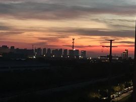 ᥫᩣ应应～的图片