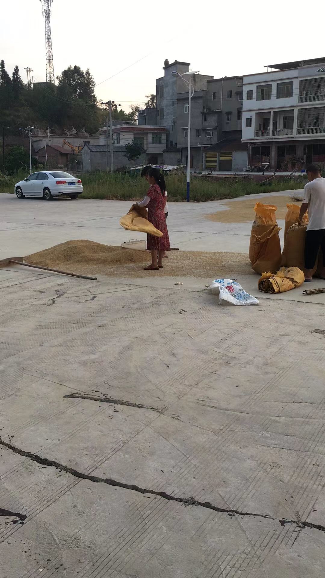 芯儿❀求任务请找我主播图片