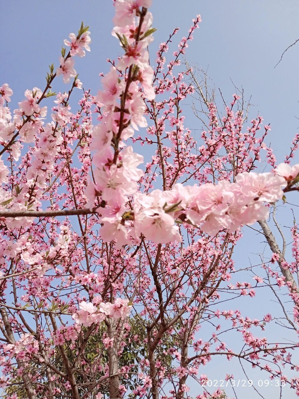 婷婷💕感恩有你陪伴的图片