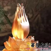 曲紫枫dnvy