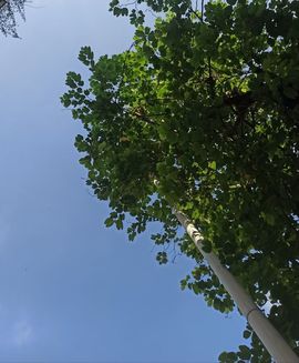 高音低音地沟通主播照片