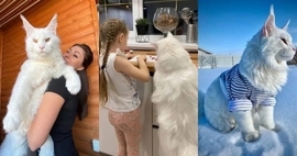 @一江東去@照片主播照片