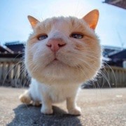 萝卜頭纸~🥕