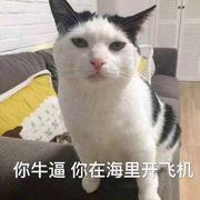 @月悦是个憨憨