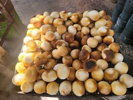 果果(平安好运)主播照片