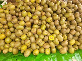 果果(平安好运)主播照片