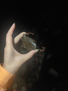 好运😋甜宝生病休主播照片