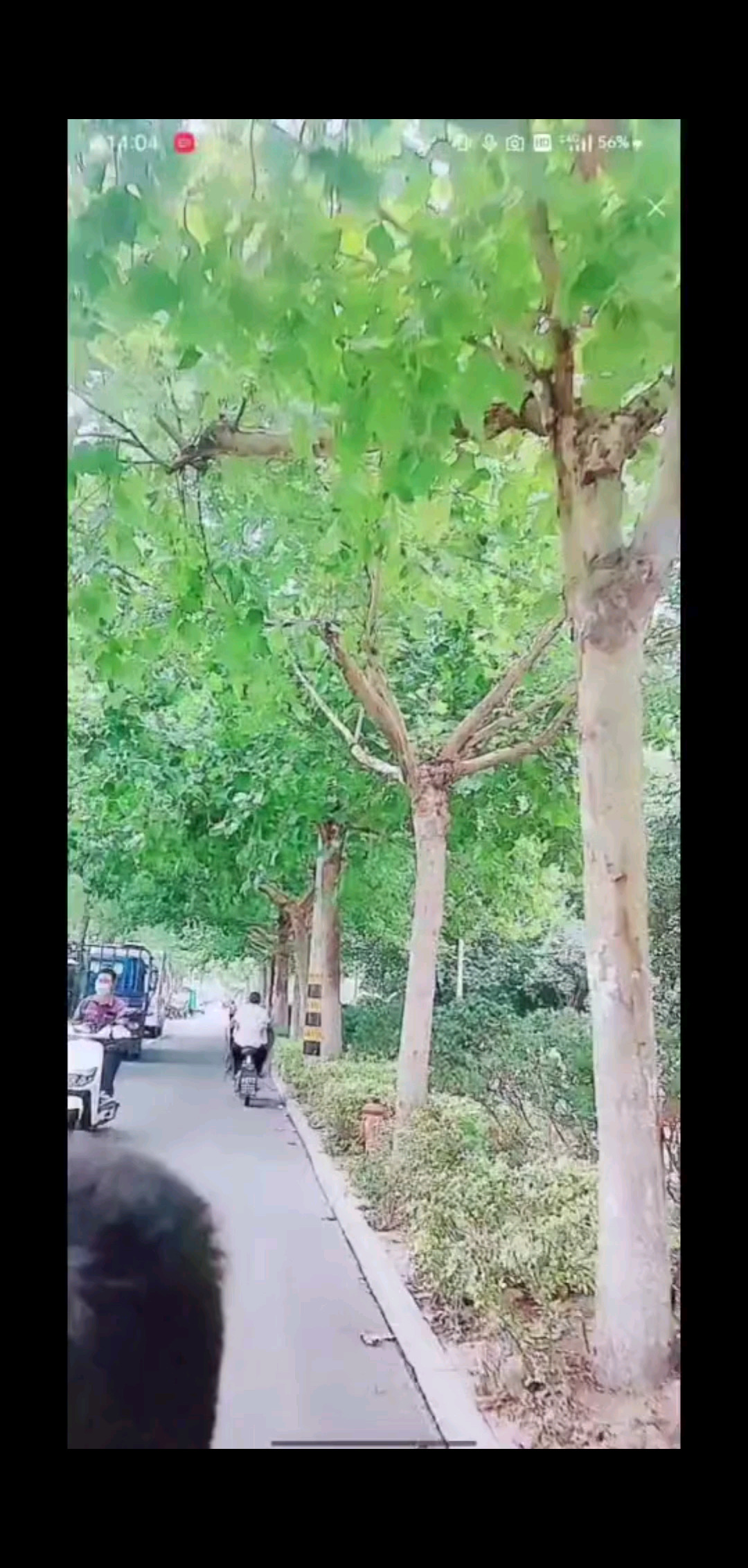 一念秋风起，一念相思