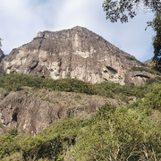 宠奶糖海报