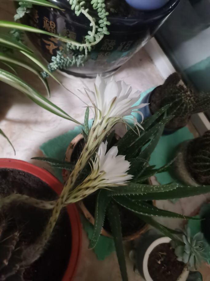 聆听上午休息调整一下的图片