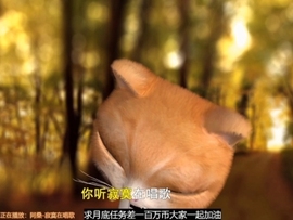甜蜜未来乐在心怀主播照片
