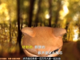 甜蜜未来乐在心怀主播照片