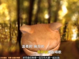甜蜜未来乐在心怀主播照片