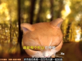 甜蜜未来乐在心怀主播照片