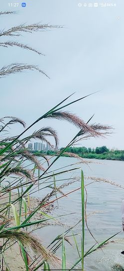 婷婷💕求升级的图片