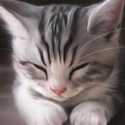 猛踹瘸子那条好腿..海报