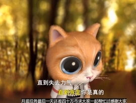 甜蜜未来乐在心怀主播照片