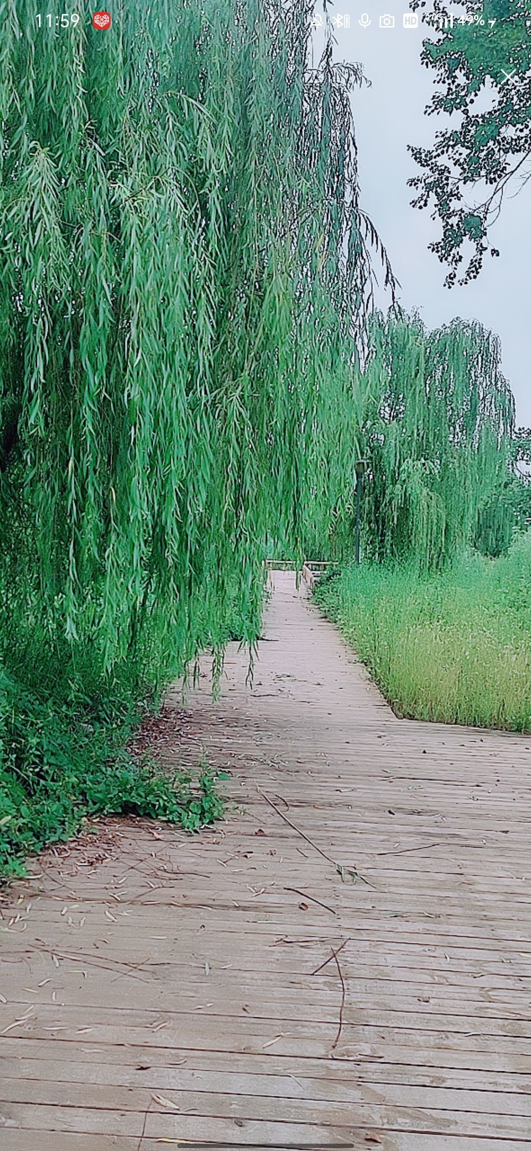 婷婷💕感恩有你陪伴的图片