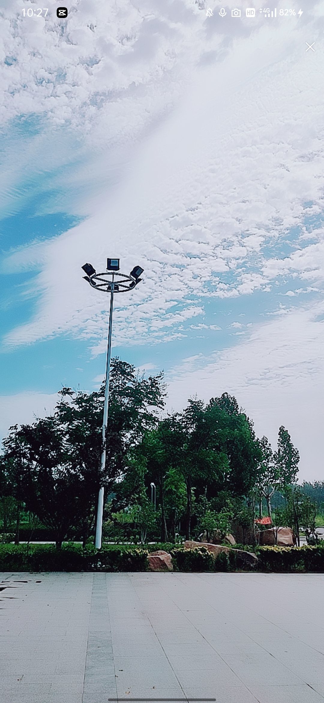 婷婷💕感恩有你陪伴的图片