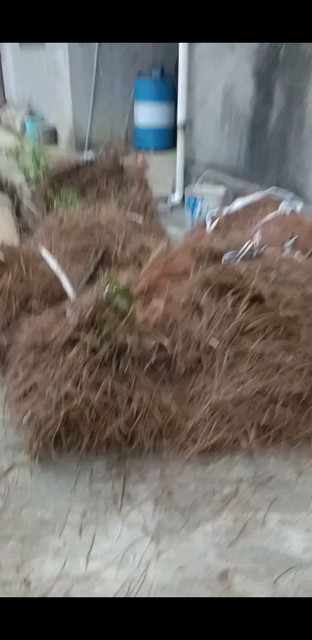 昨天下午我很忙啊！上