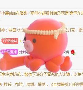 💓小香猪💓主播照片