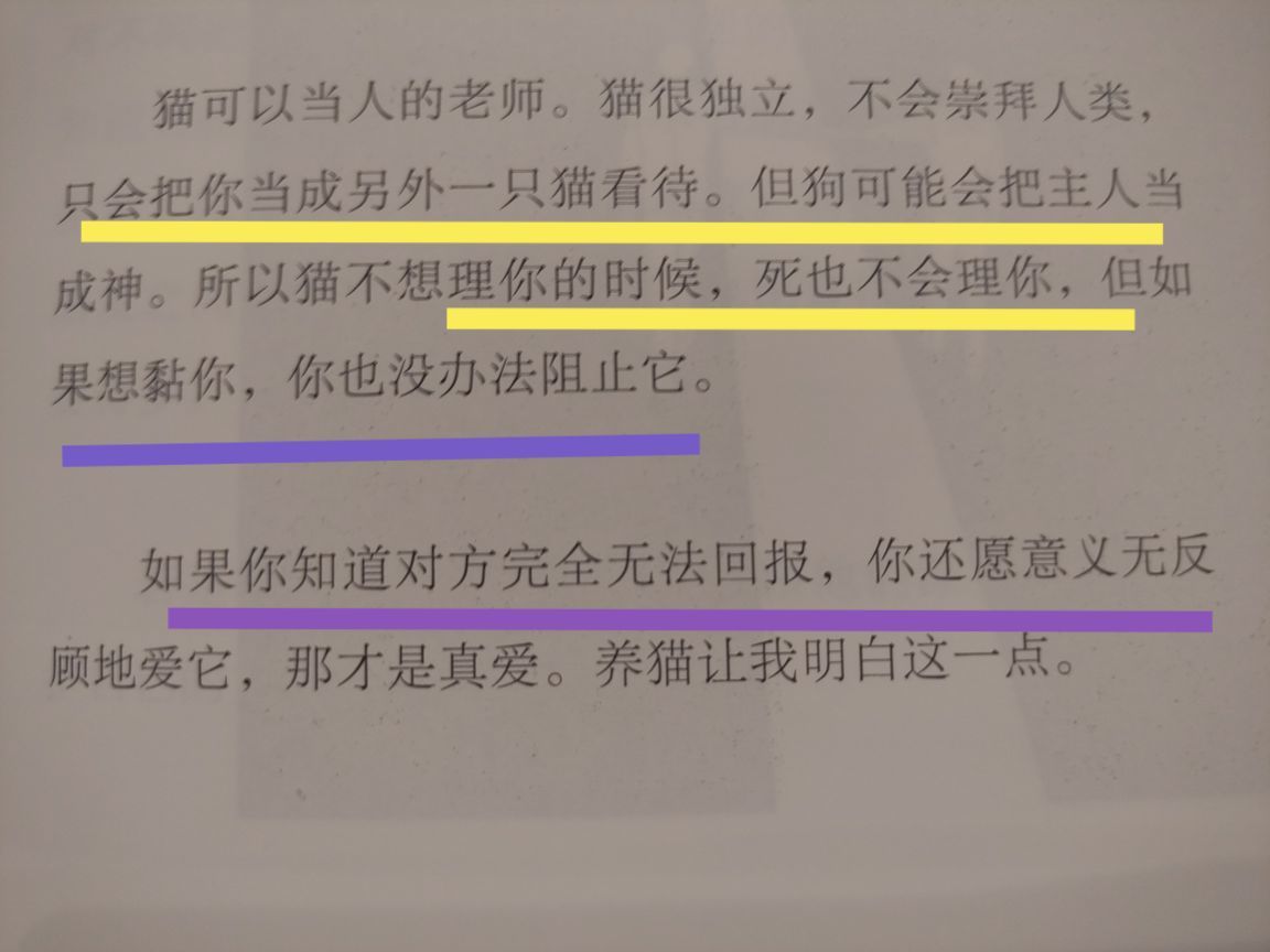 没有自我道就出现了主播照片
