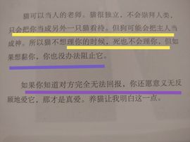 没有自我道就出现了主播照片