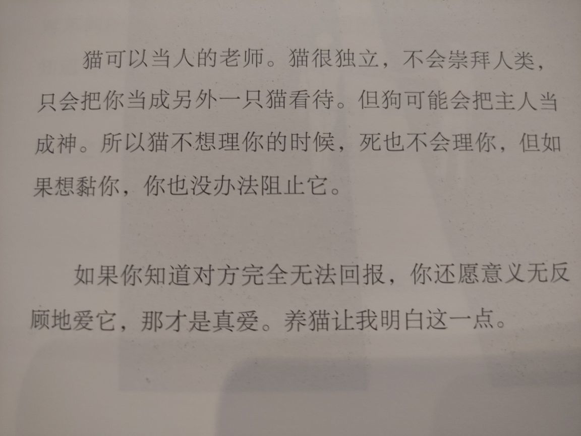 没有自我道就出现了主播照片