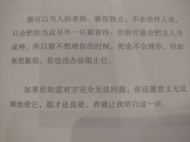 没有自我道就出现了主播照片