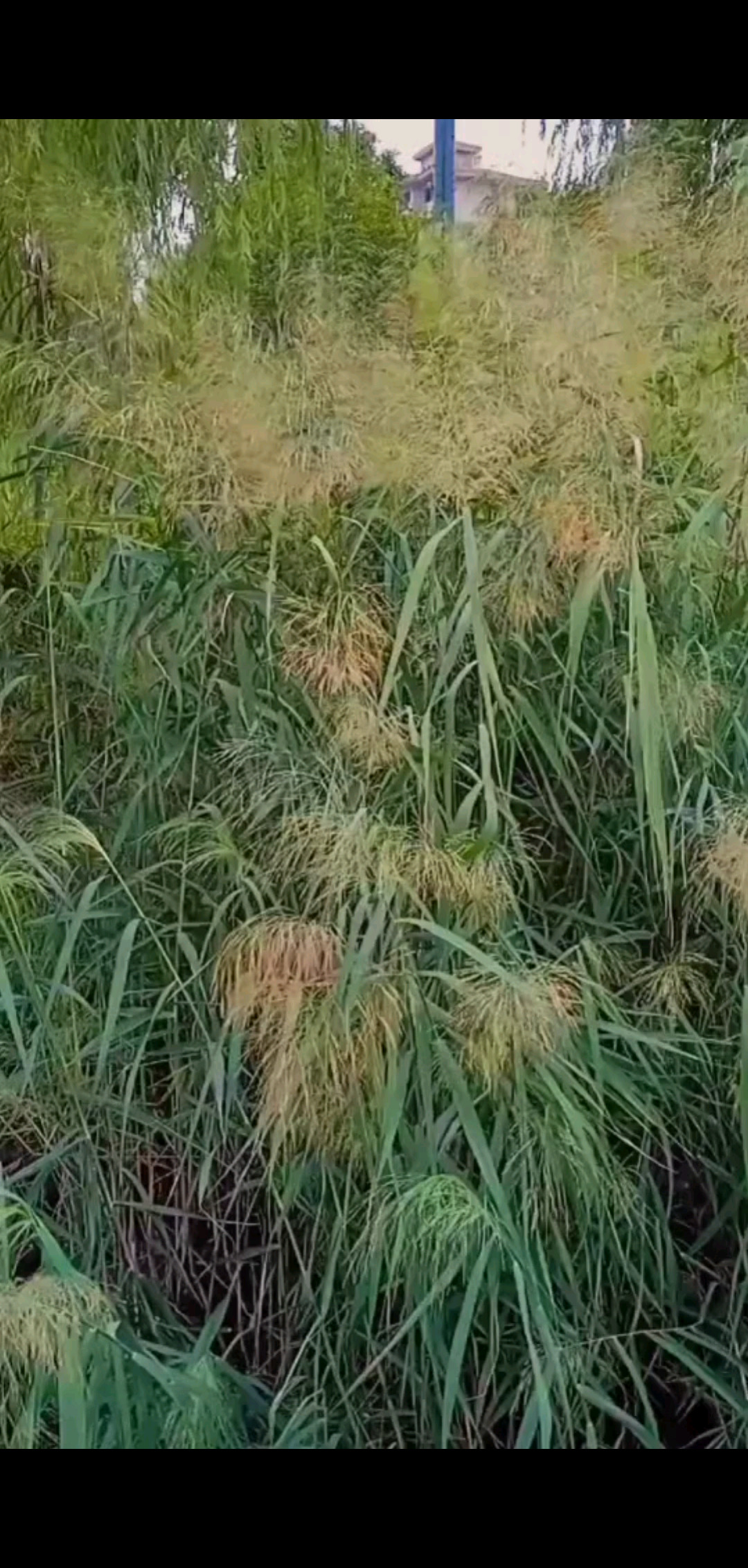 每个人的成长都需要时