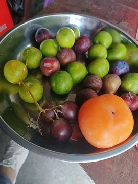 唔～飞机的图片