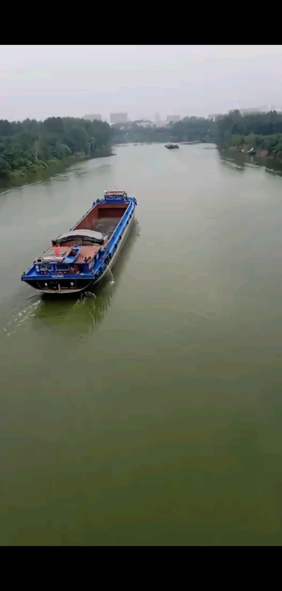 生活会向你努力的方向