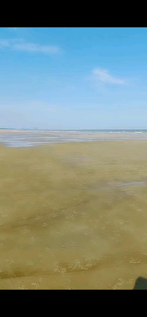 站在这里显得自己多么