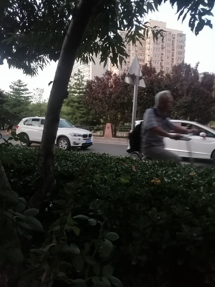 萌新宝宝2ovZMZ的图片