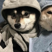 我猛踹瘸子那条好腿