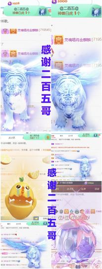 金麒麟安静唱歌🎤主播照片