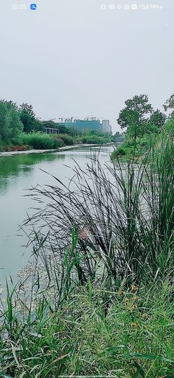 婷💕求过月底任务的图片