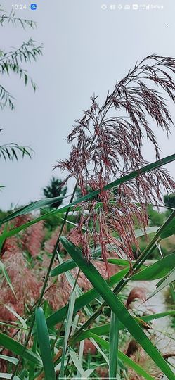 婷💕求过月底任务的图片