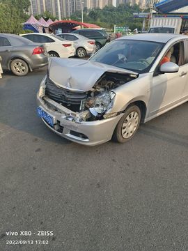 金鋼守護神主播照片