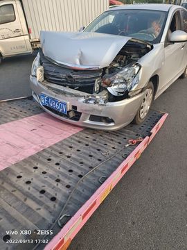 金鋼守護神主播照片