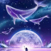 星辰花海@海报