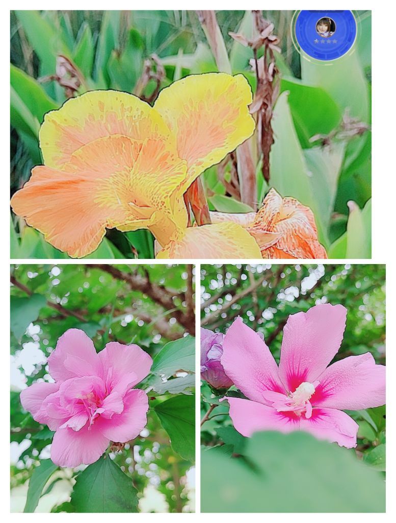 婷婷💕感恩有你陪伴的图片
