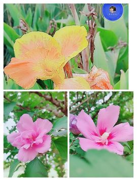 婷💕求过月底任务的图片