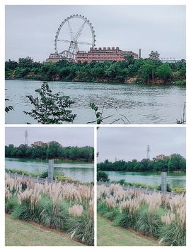 婷💕求过月底任务的图片