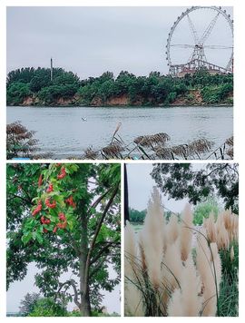 婷💕求过月底任务的图片