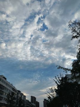 婷💕求过月底任务的图片