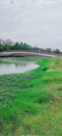 婷💕求过月底任务的图片