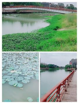 婷💕求过月底任务的图片